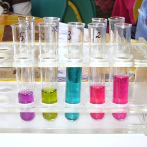Zajęcia „Chemia dla przyrodników”